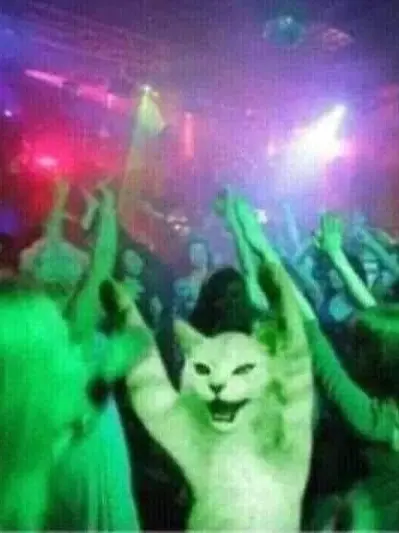 itsD4rkkn3ss의 Chaotic House Party What Could Go Wrong ⁉️