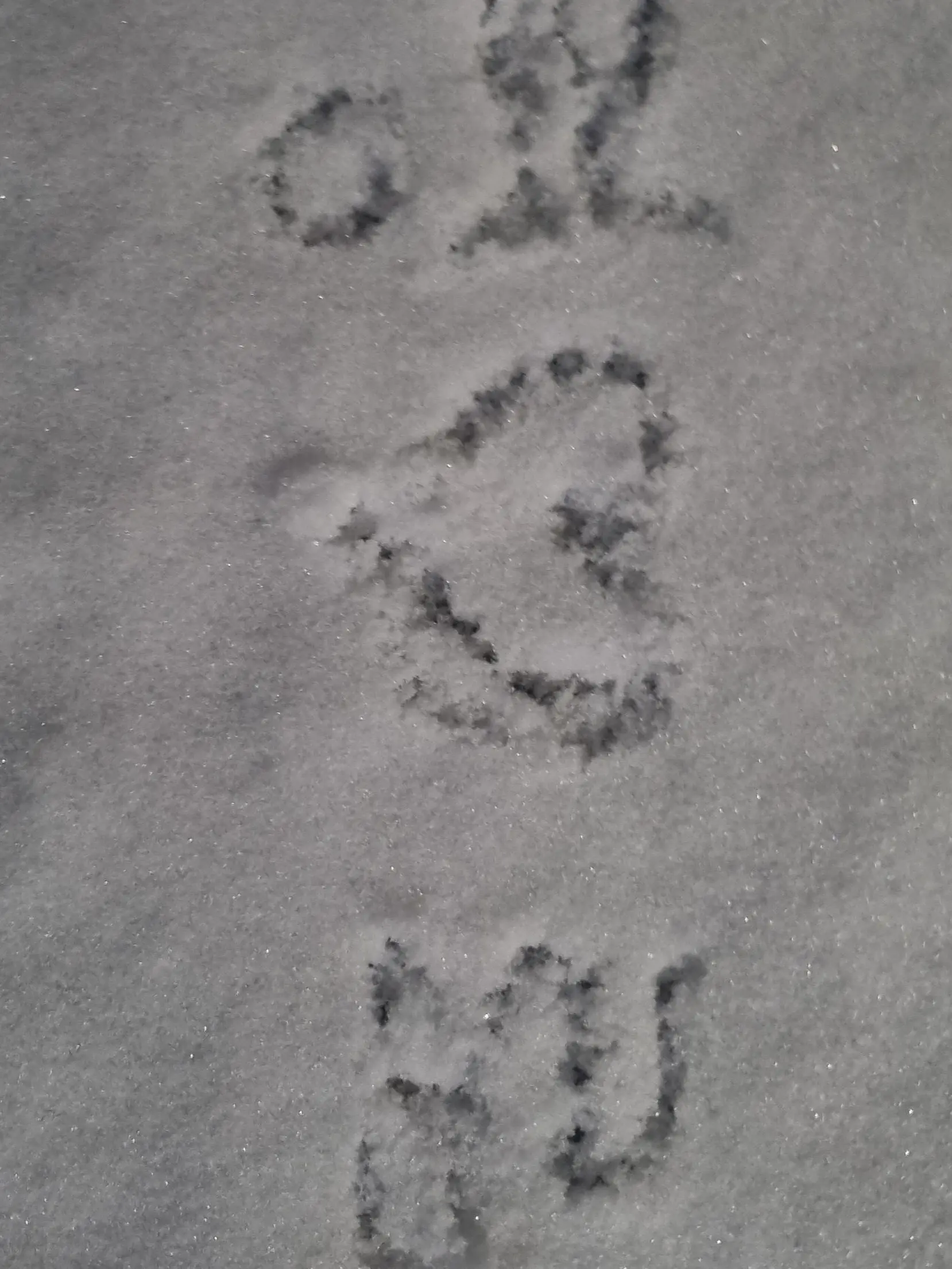 lovejennie의 ♡♡