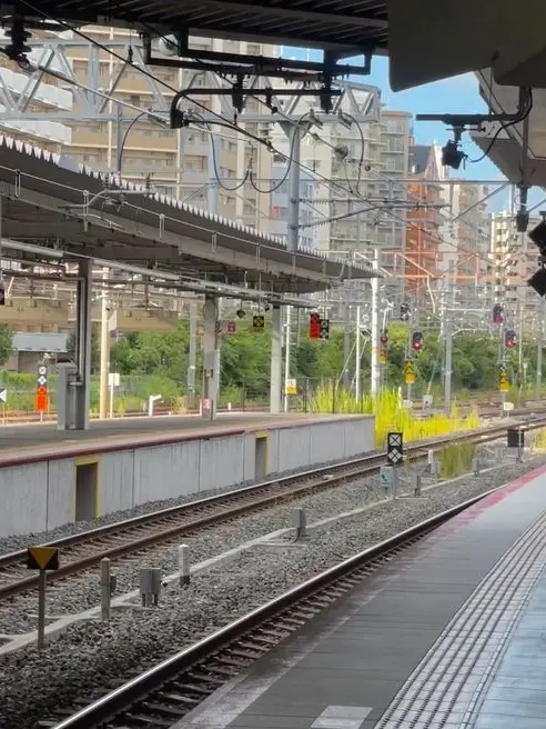 I_like_Kiriyo의 망했다..