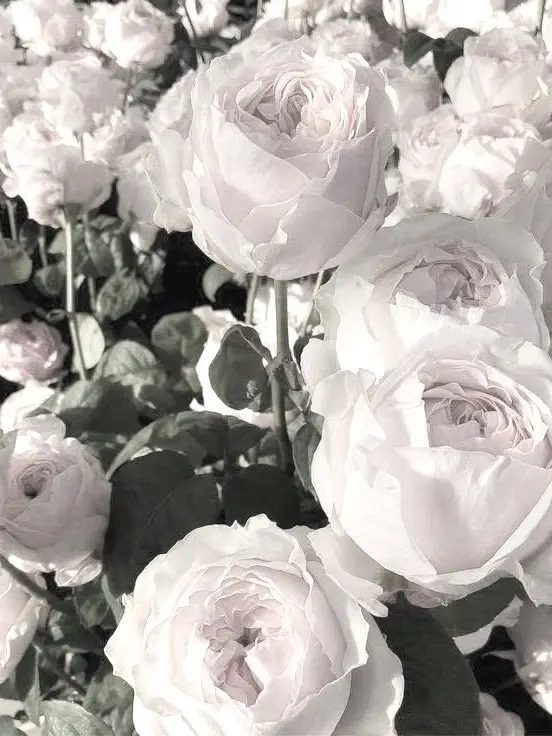 lloveioo0109의 𝜗𝜚.⋆𖥔 ࣪