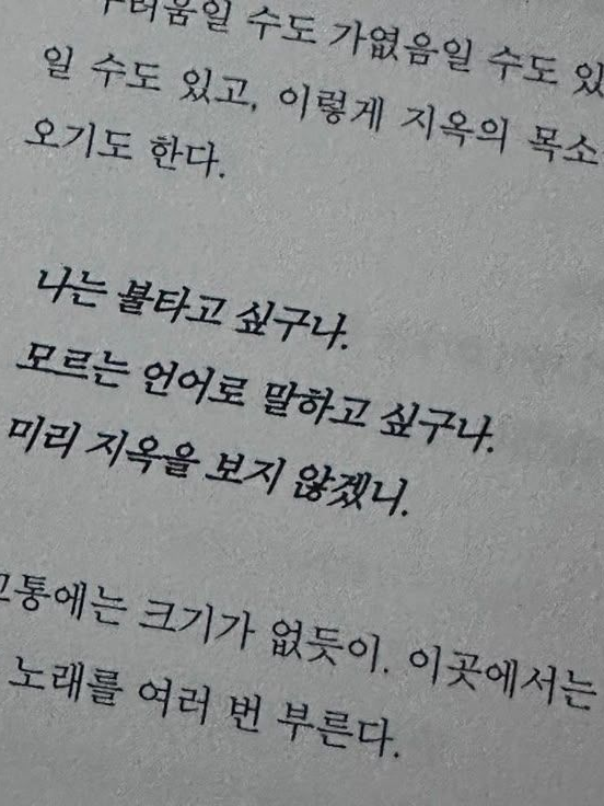 케이크포도를한입먹자! 대표 이미지