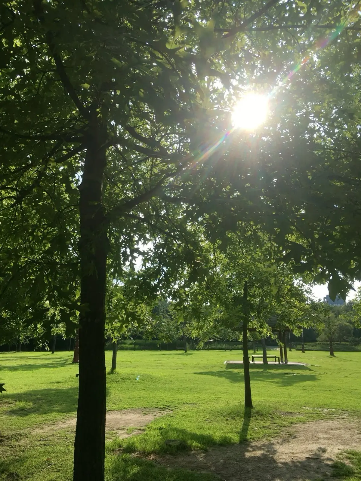 morning._.3.3의 픽셀 고등학교