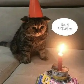 MightyHeat4513의 내 생일인데 주들이 까먹음….