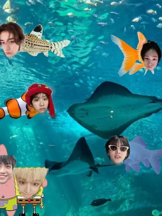 onedoor..의 여사친이 여자로 보인ㄷㅏ...