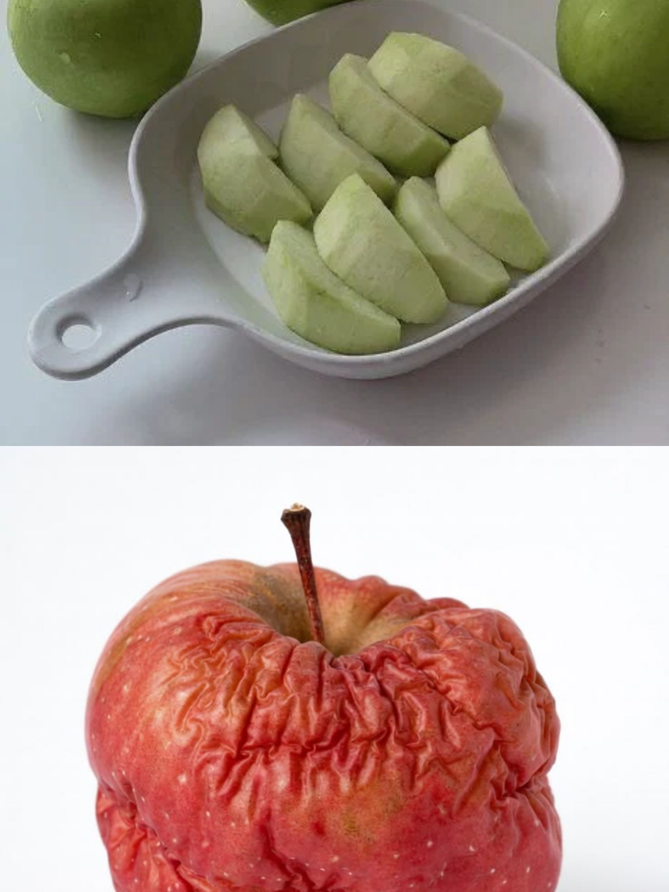 사과 종합 세트 대표 이미지