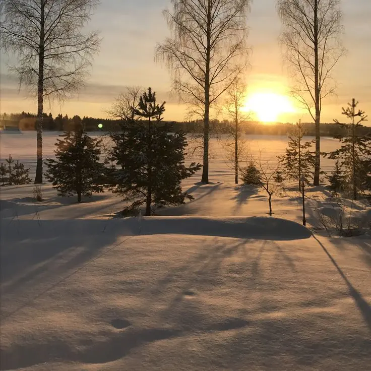 _tobio의 히나타 쇼요, 너 귀여워.