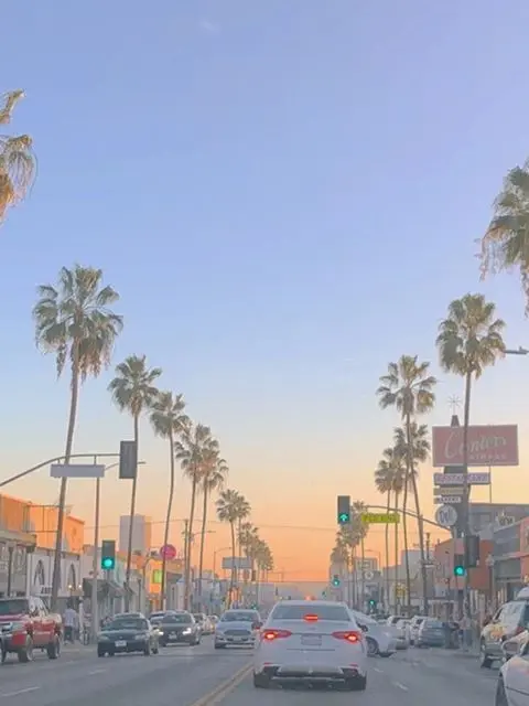 general_public의 패러다이스(코마, 우융, 파이브)