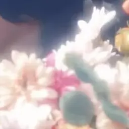 MGA.miku913의 𝓼𝓸𝓕𝓽 𝓭𝓡𝓲𝓷𝓴