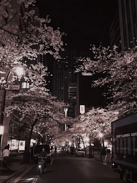 TriteSaiga5151의 팀나빠,고고프랜즈 초능력 학교