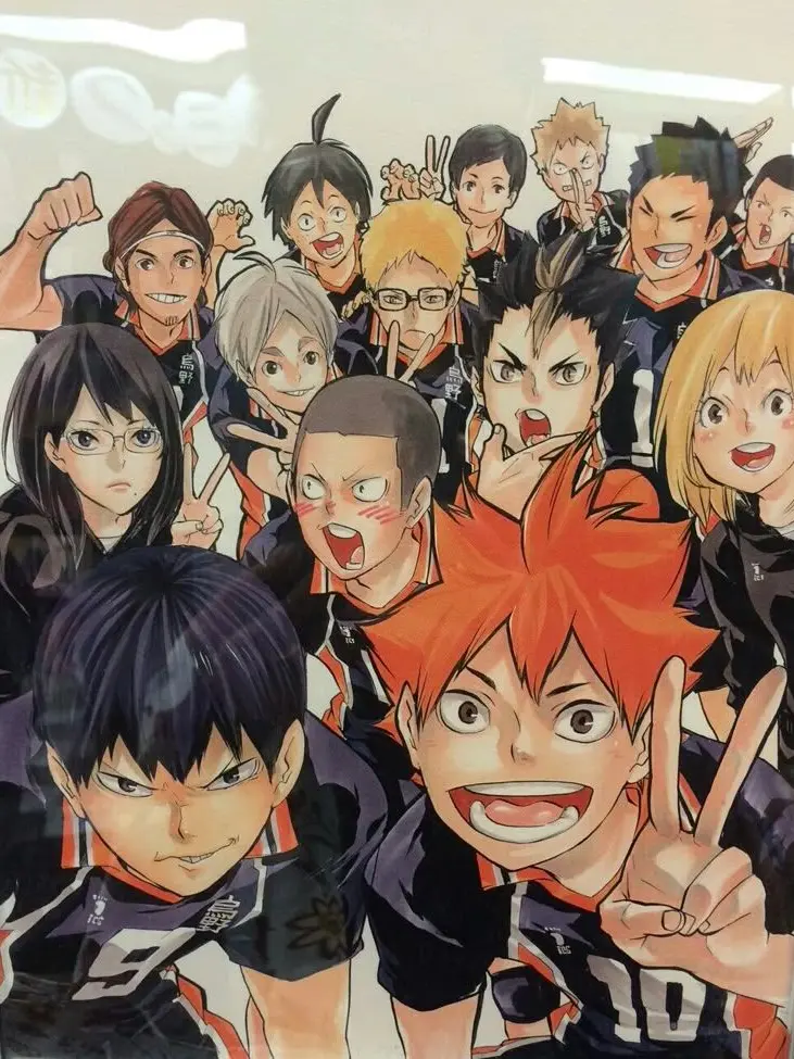 StuffyBolt7136의 Haikyuu!!