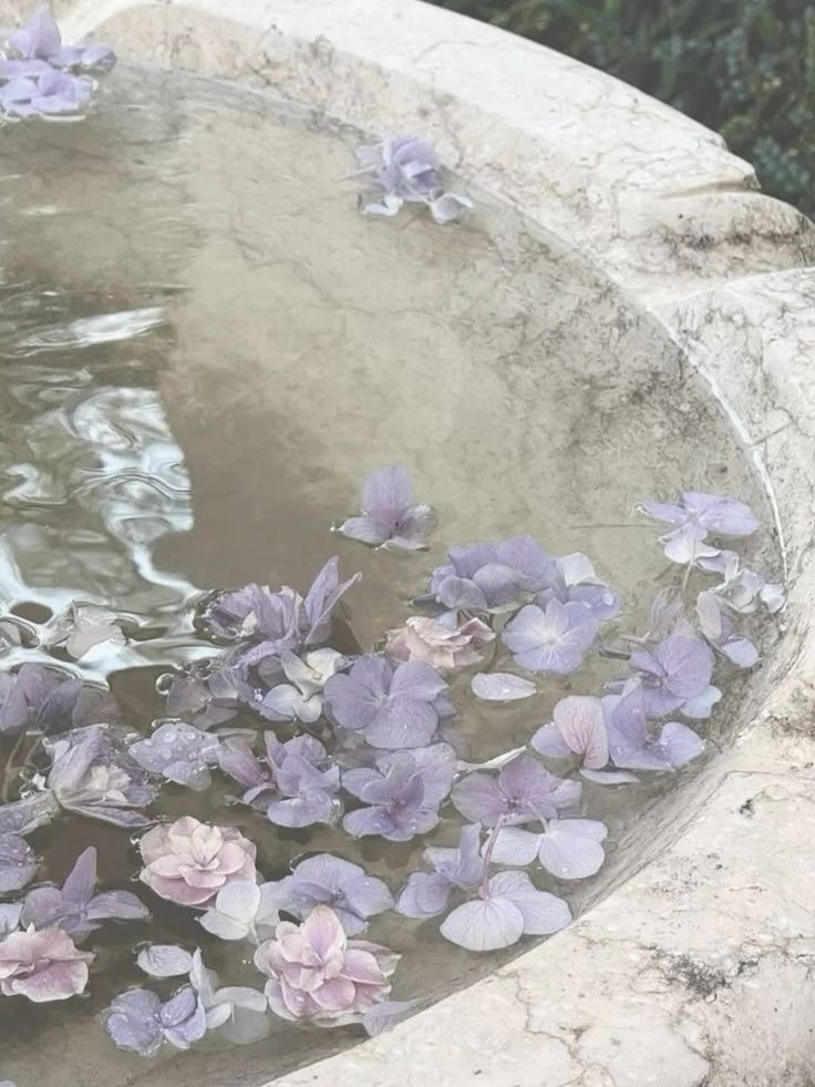 너무 사랑해서 대표 이미지