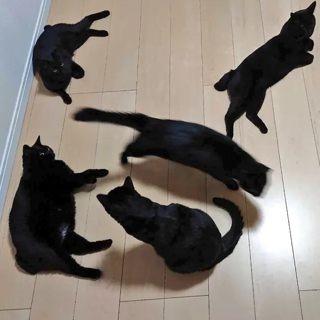 Lena._.gay의 "그들이 찾는것은 당신입니다."