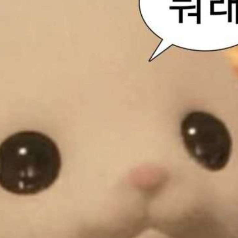 납치범 평학,백현,집사,유기사 대표 이미지