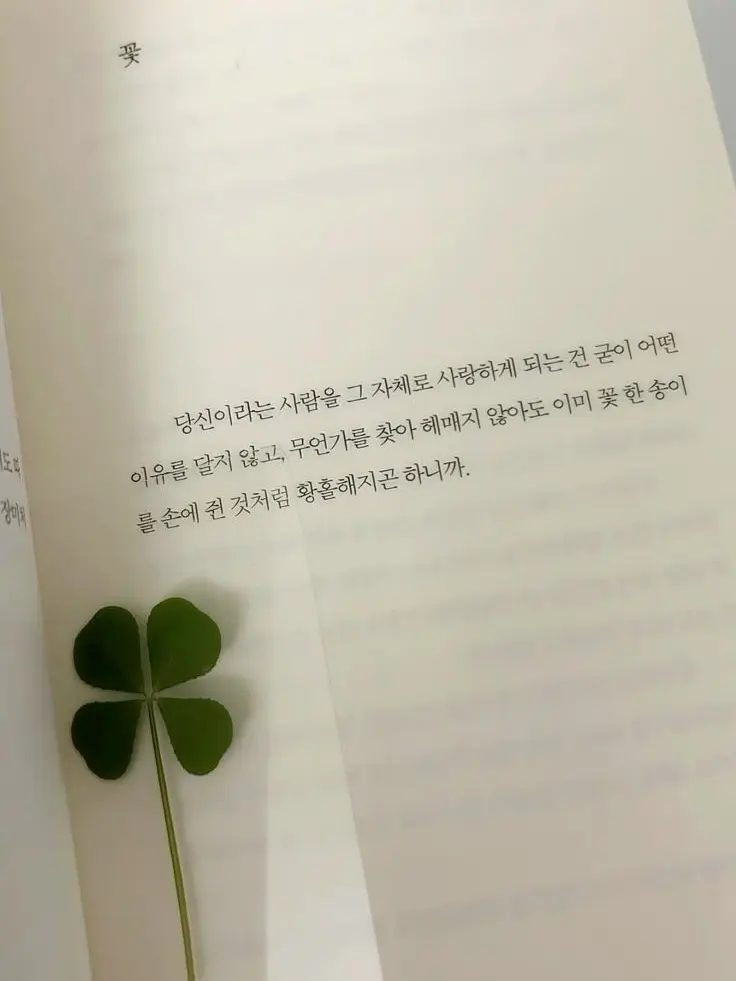 PerkyFruit9917의 늑대 + 여우 + 취무등