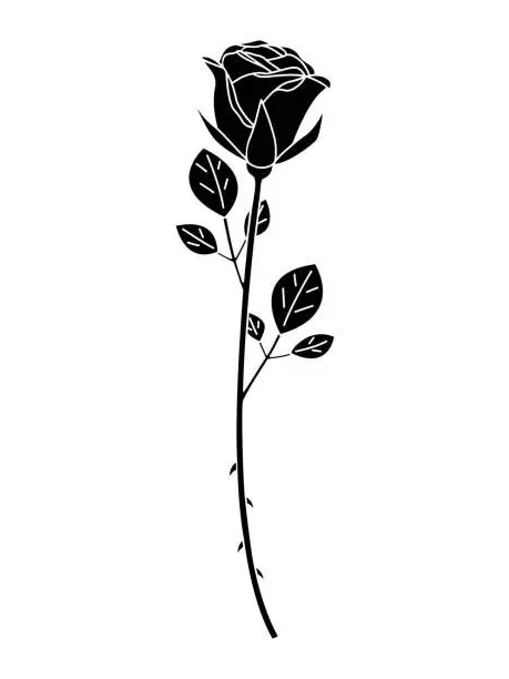 PoorPage5635의 33本の薔薇