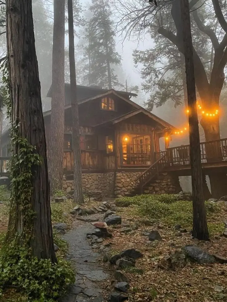 Acethebunny의 Weird cabin..