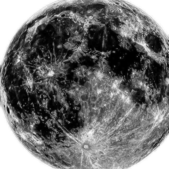 VioletStem9414의 이세돌 (체육대회)