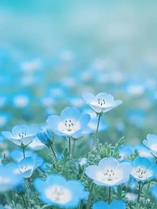 SmellyFrame1581의 自分用