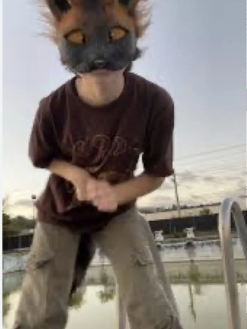 BitterIdol2454의 Phoenic fox