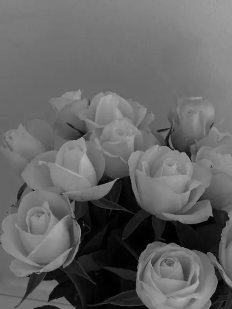 PlainPhoto1747의 私立恋乃学園支配洗脳異変