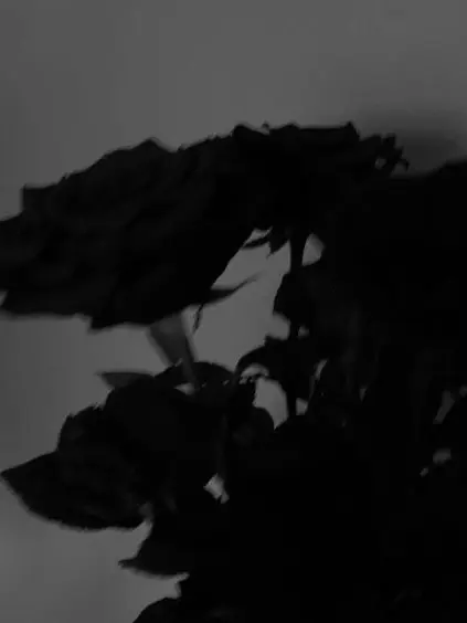 Dust_ww의 Valen Nihilo