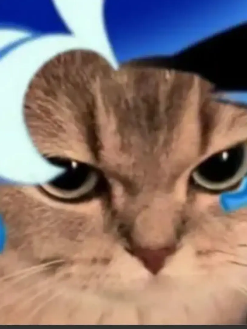 RoastStraw8936의 쌈@뽕하게 쉐냥이 키우기