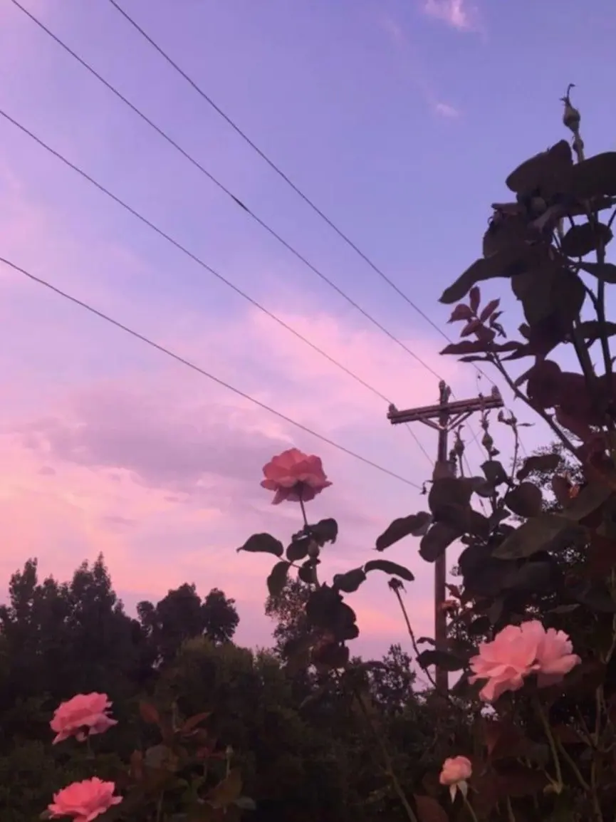 HurtDiary8440의 마준우