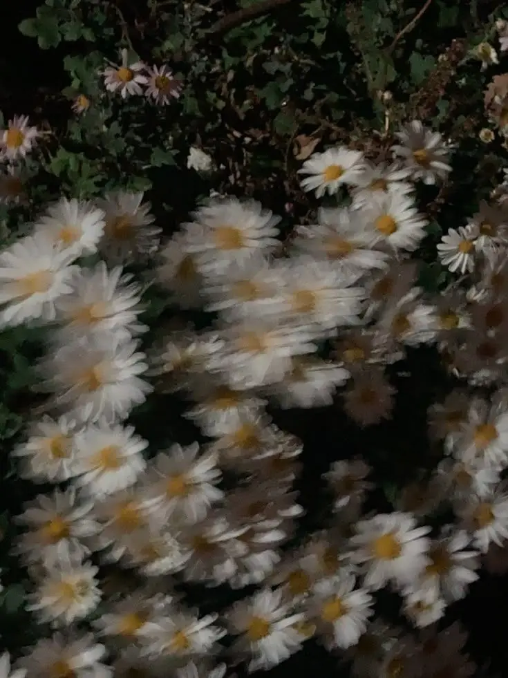 LankyHoney2423의 토미오카 기유