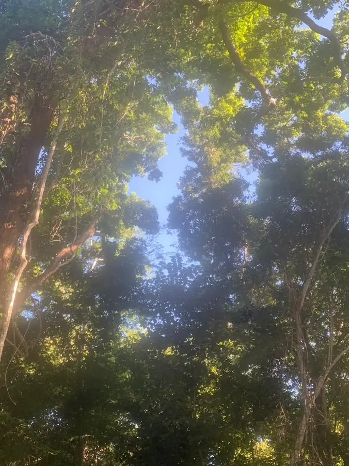 VioletCoast6599의 甘々な旦那さん