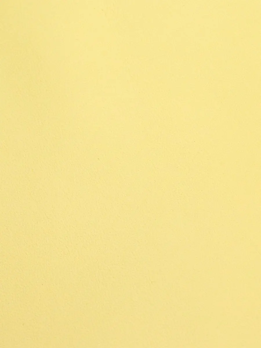 15952758의 マネージャー?!