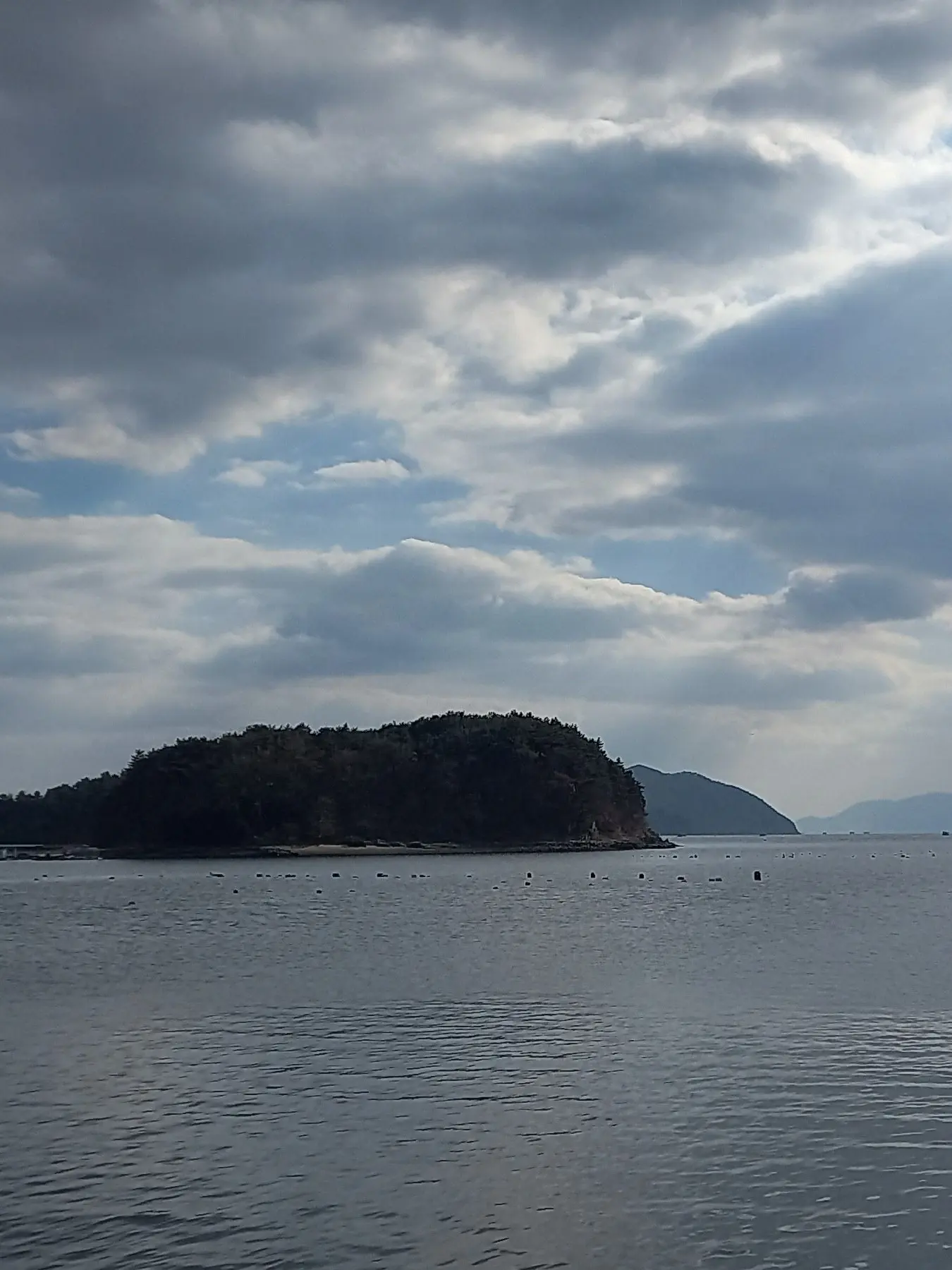 kkkkgw2244의 김동현