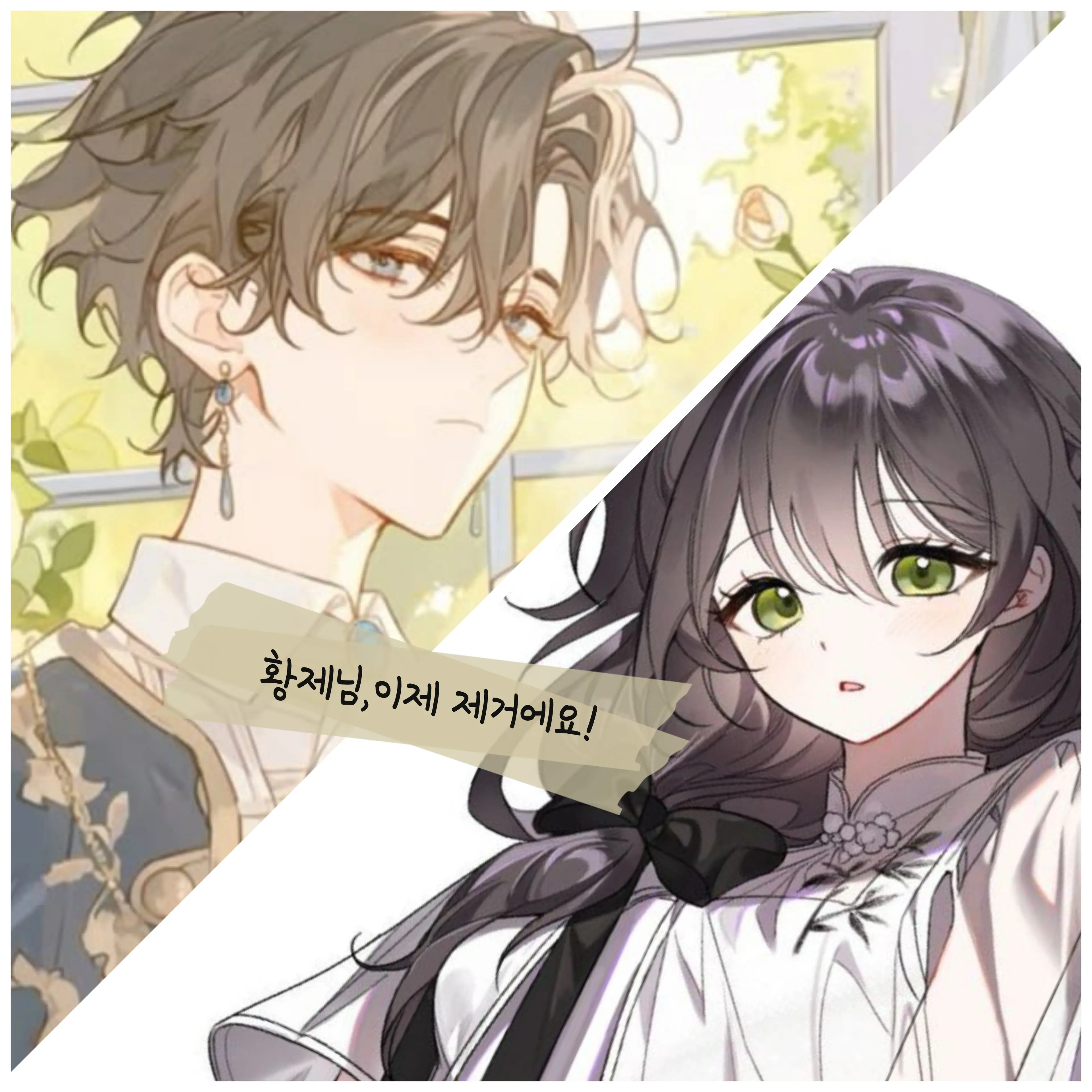 SevereCoal2982의 황제님, 이제부터는 제거에요!