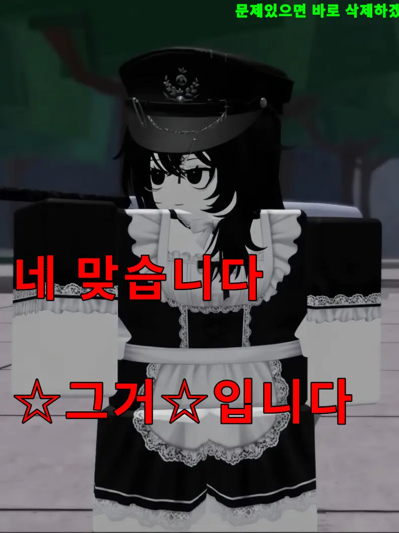 Joornojoovanna의 엔폭이 메이드복을 입었다고옥!!(정품