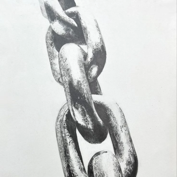 지배°소속°체인소