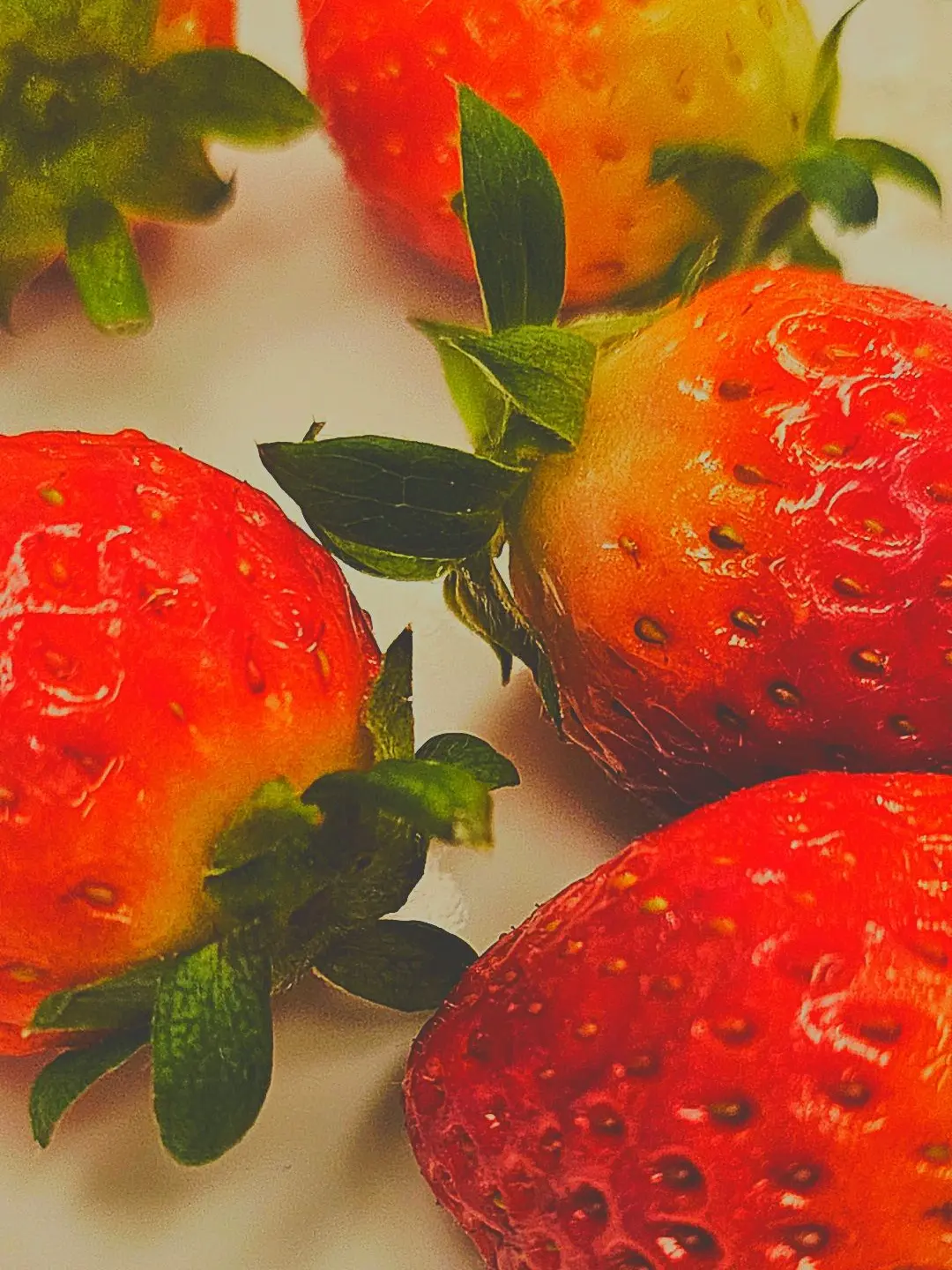 MistyMink9991의 매직매직매직 매직매직