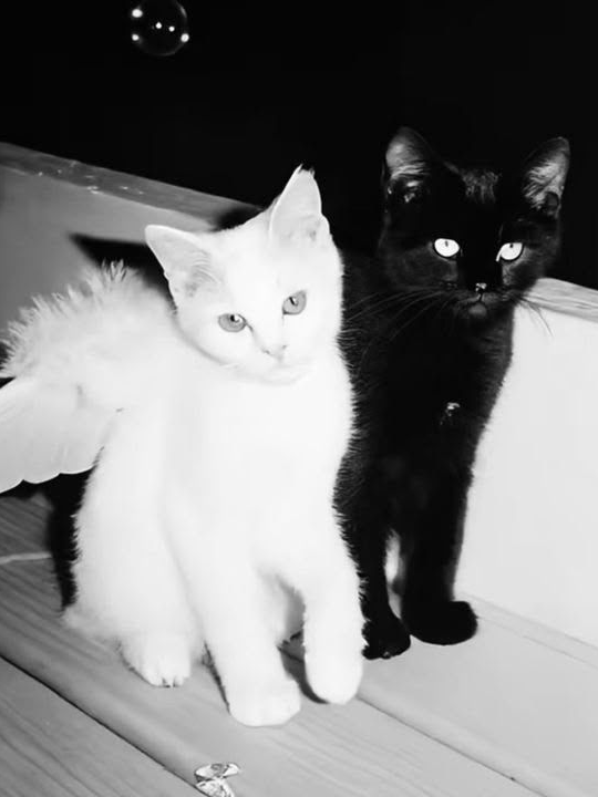 NOEL & CIEL 대표 이미지