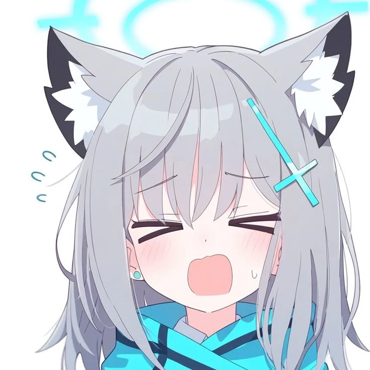 스나오오카미 시로코