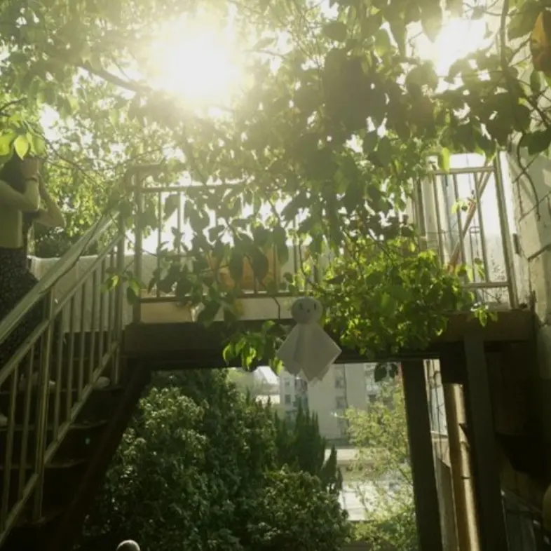 StarkPlant2951의 지쳐 전하지 못하는 수월가