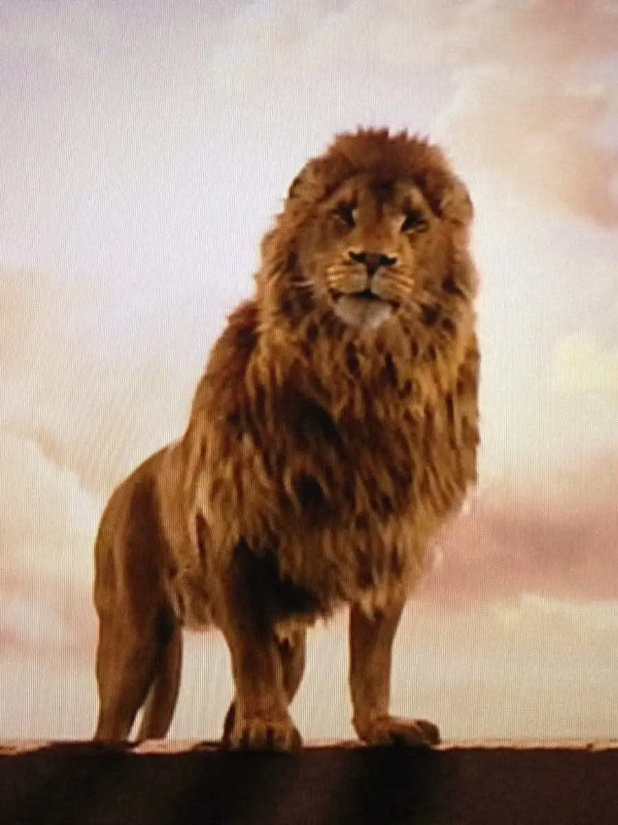 WaterNymph의 Narnia