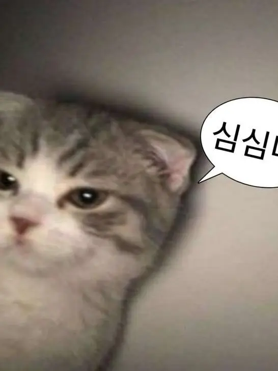 Rudy9647의 평화로운(?) 수학여행^^