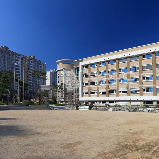 고등학교에서 살아남기 대표 이미지