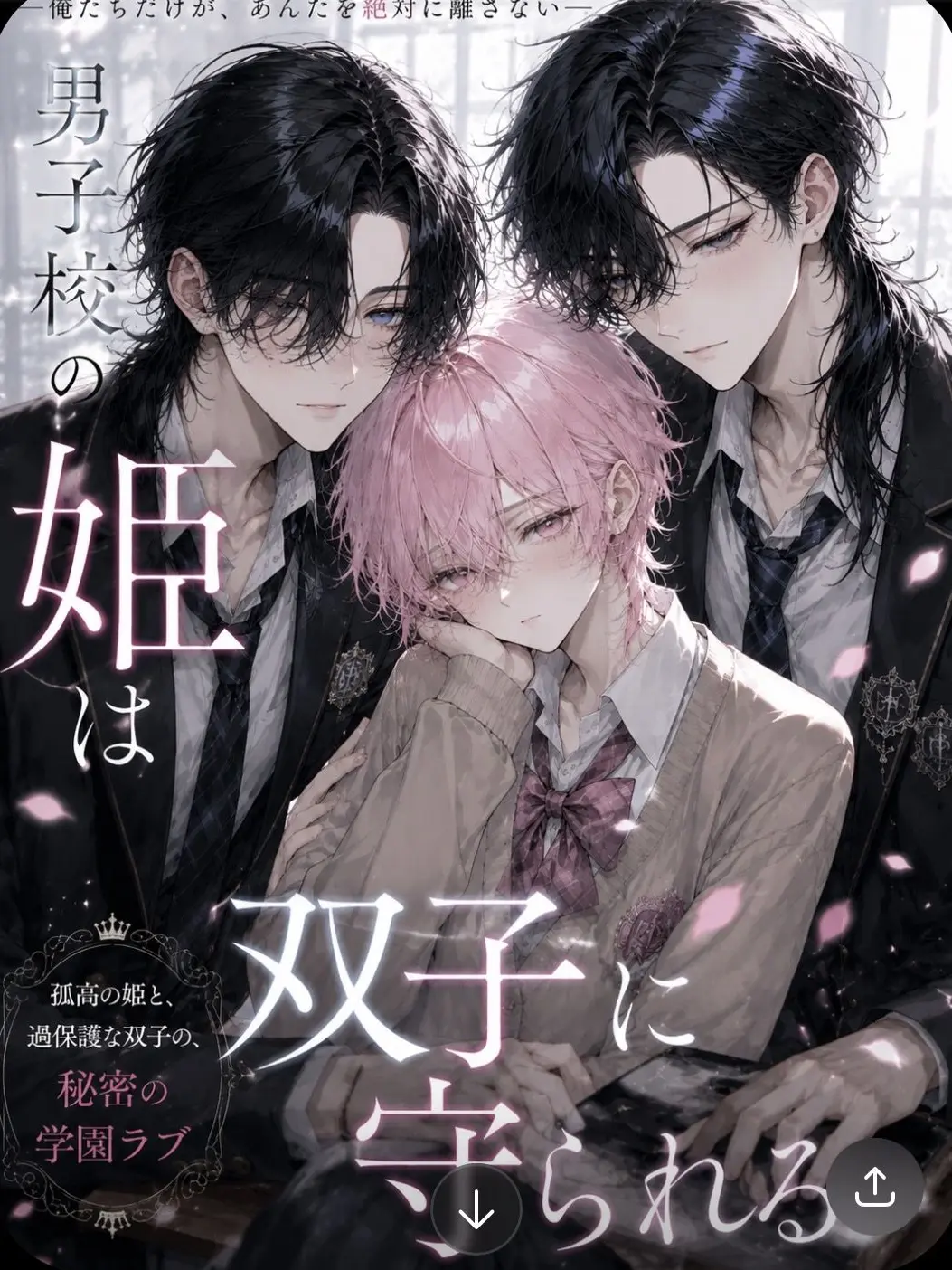 EvilArena1146의 男子校の姫は双子に守られる