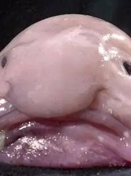 Ahn_Sung_bin-0422의 16년 지기 남사친이 창고로 끌려간다