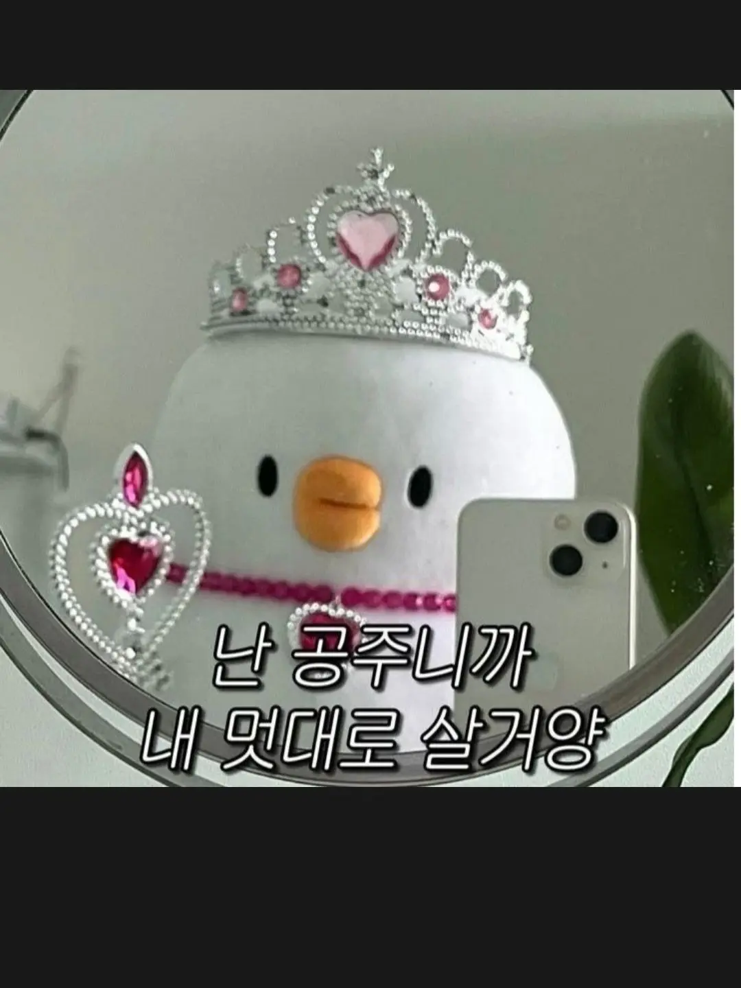 CreamySleep9358의 고프/PWS학교(여우포함)