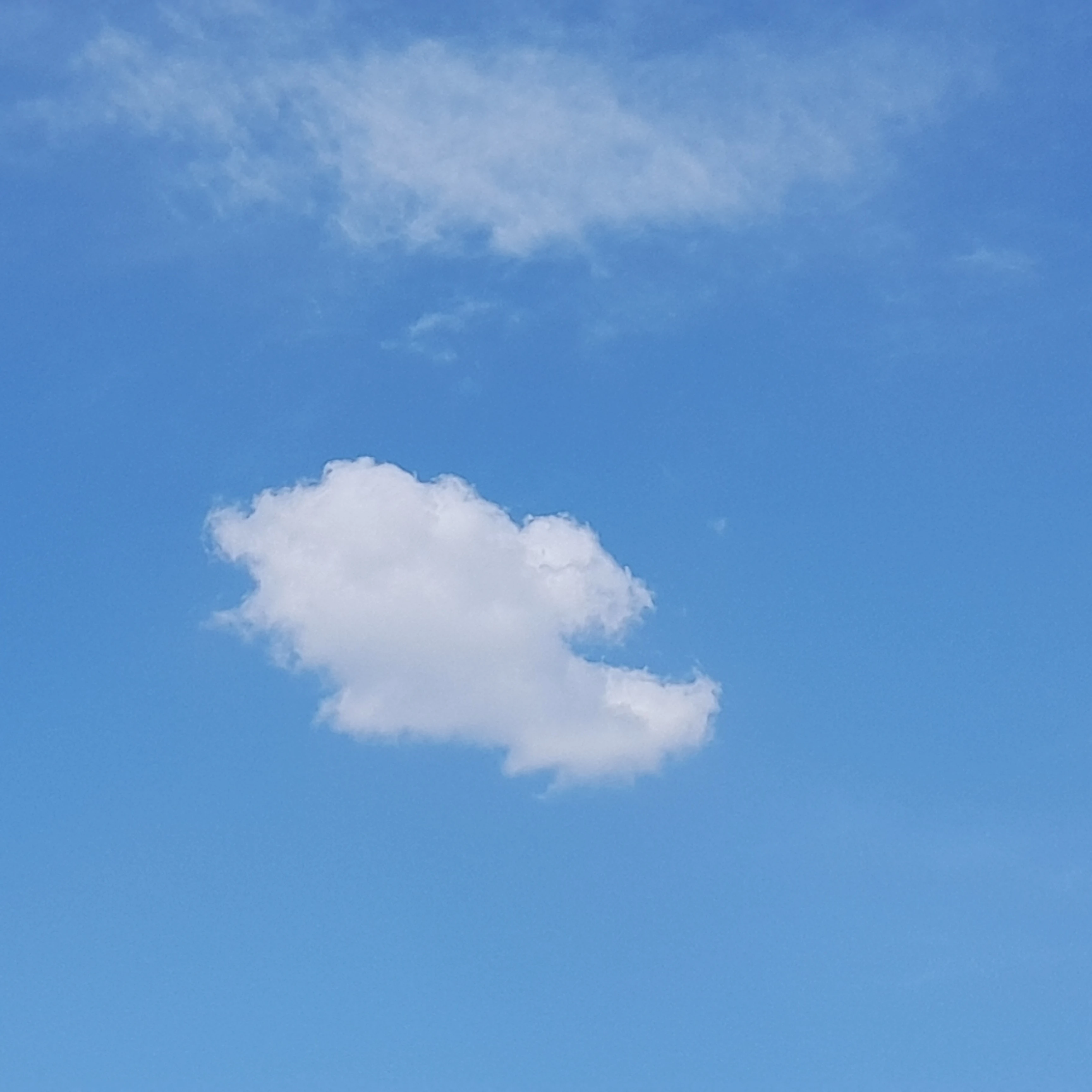 거지방