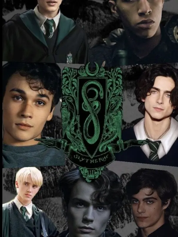JoyfulBook9004의 Slytherin Boys Apocalypse