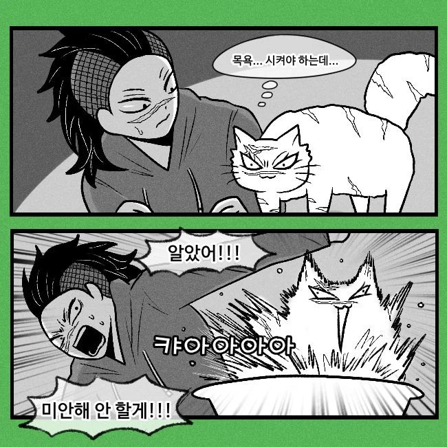 겐야의 애완 고양이 목욕 시간