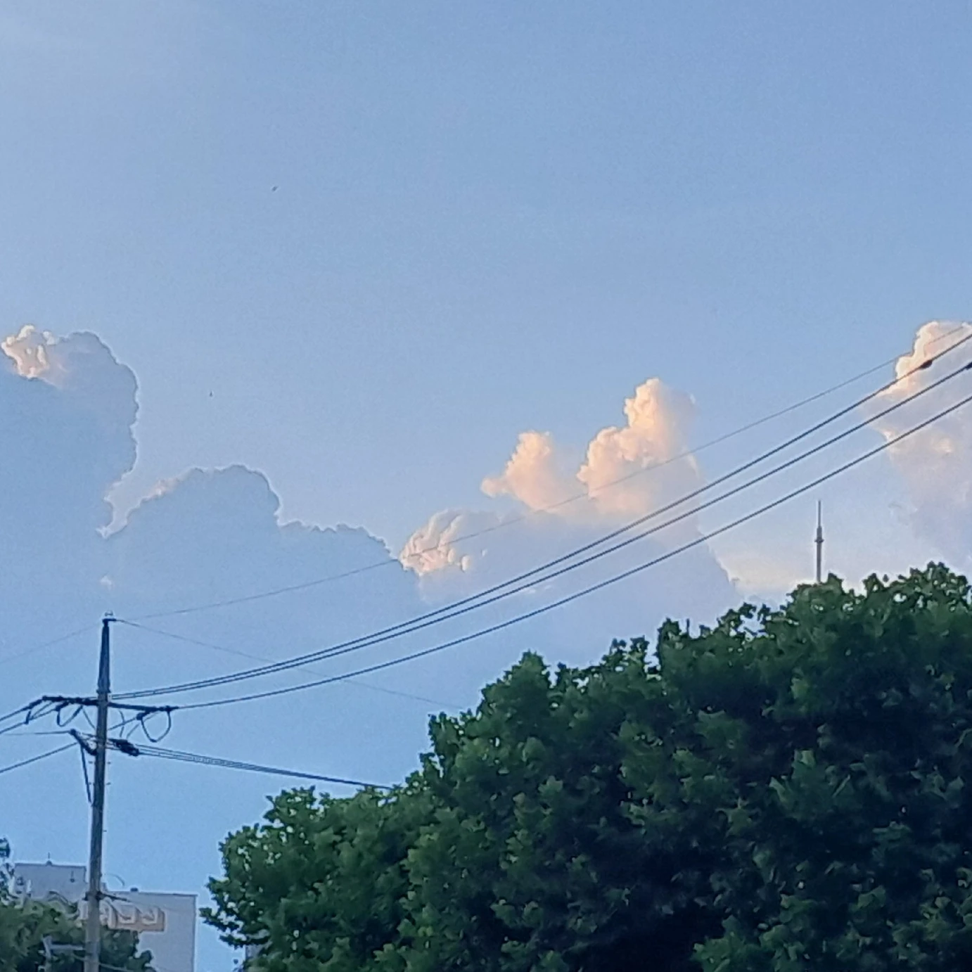 뜰유 편의점