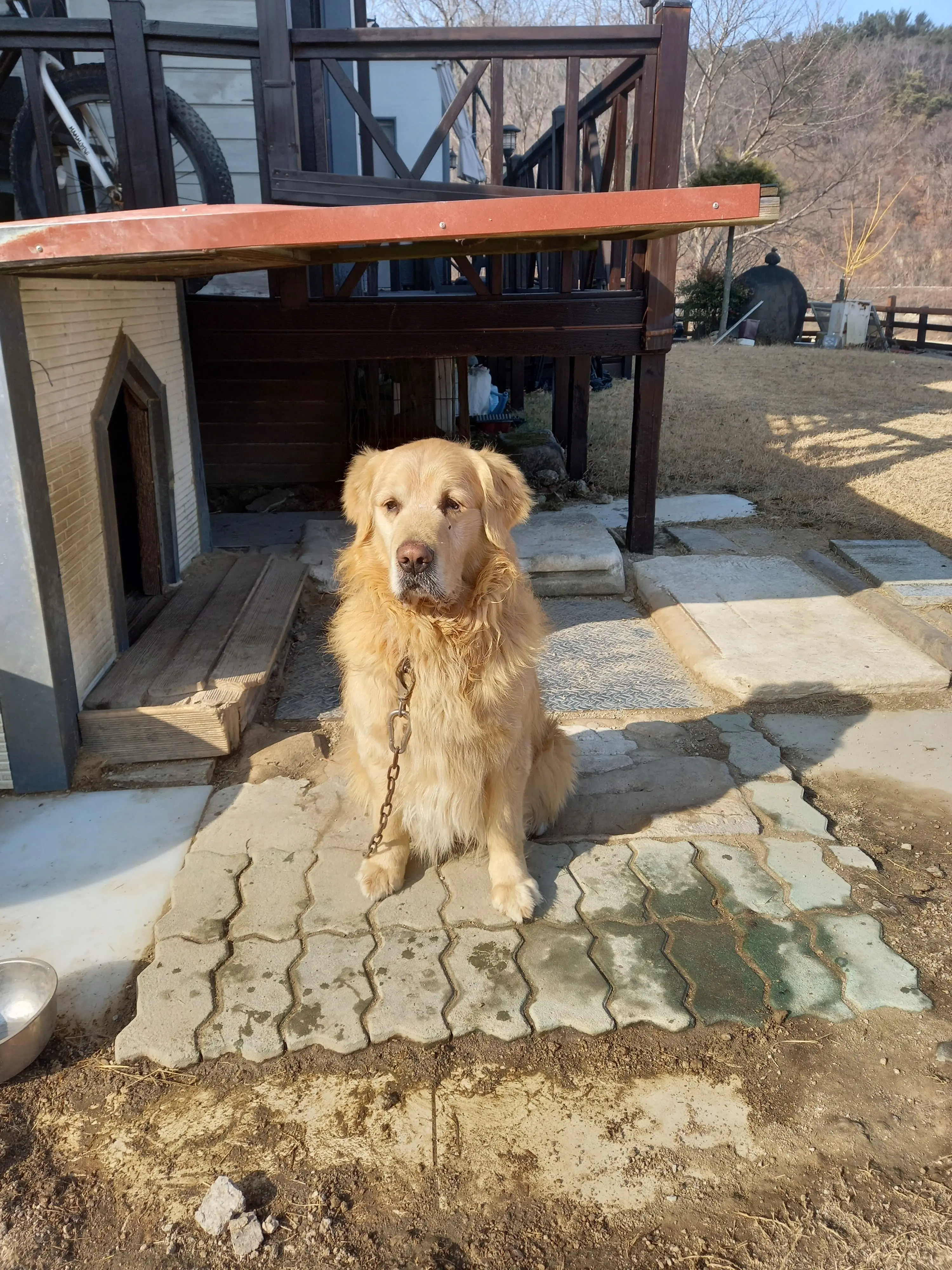 sunguisveryhard의 고고프렌즈 마법학교 +여우