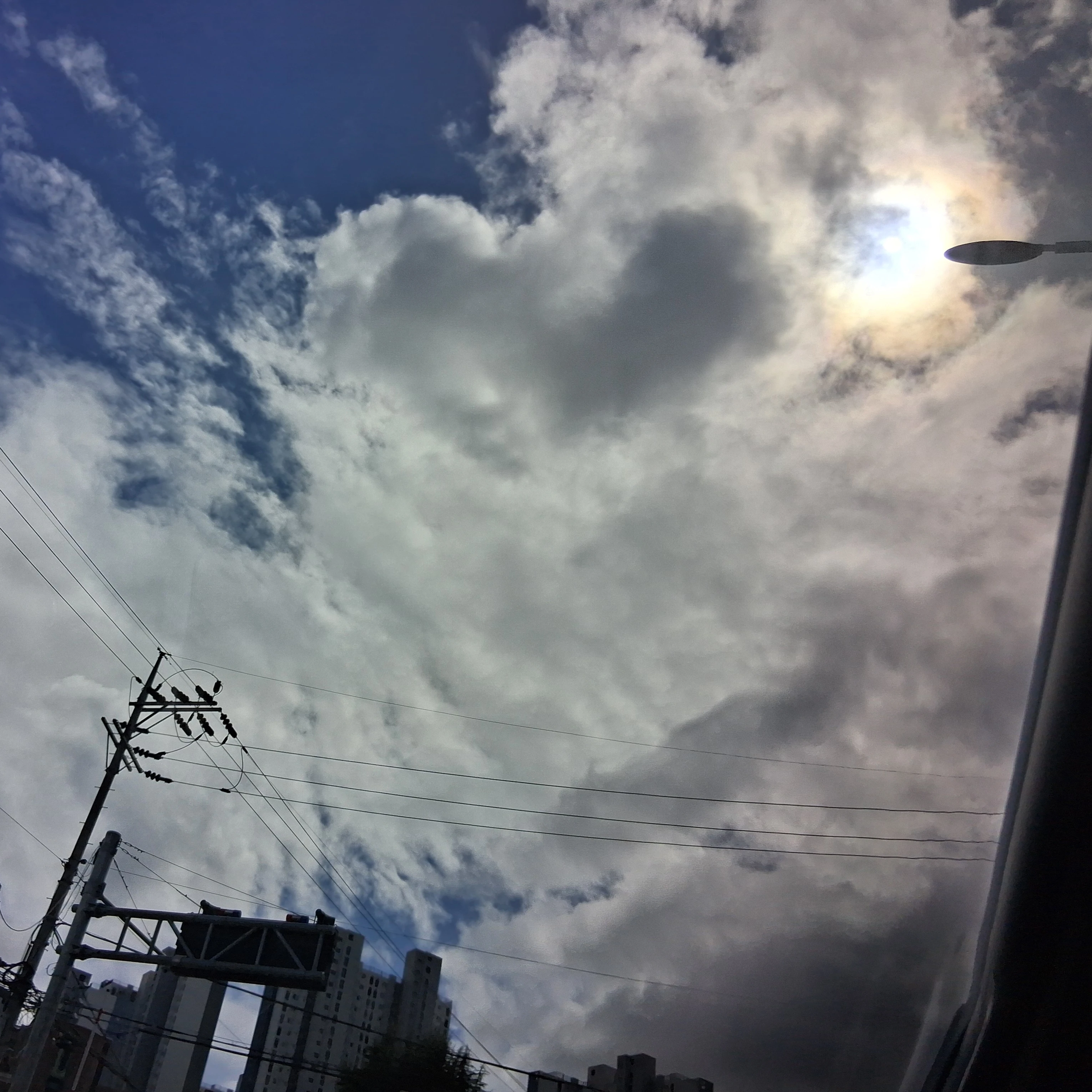 조서인
